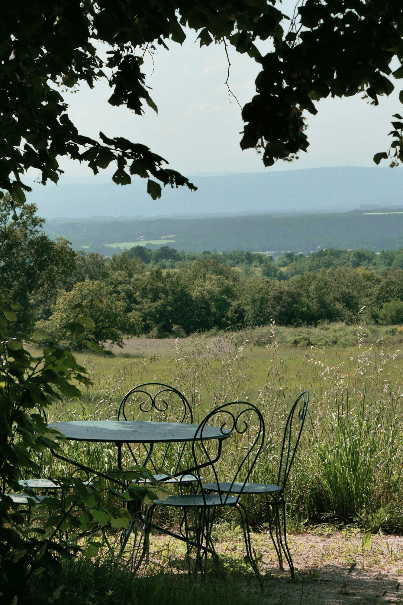 Une table de bistrot dans l’herbe, à l’ombre d’un arbre